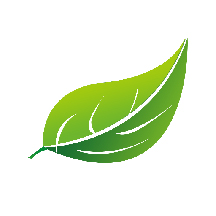 �׹���app