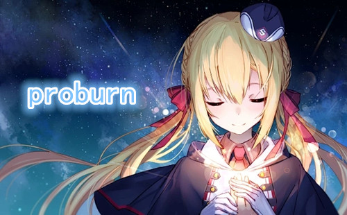 pվproburn�����������_pվprobrun�����������