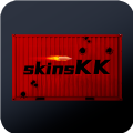 skinskk����