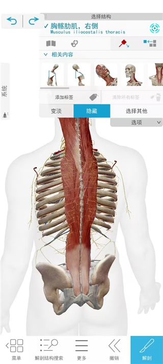 2024人体解剖学图谱谷歌商店版截图3