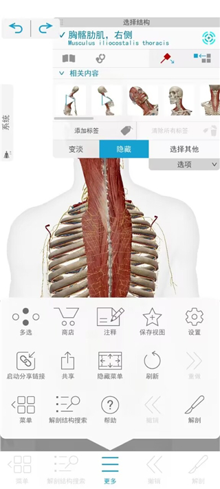2024人体解剖学图谱谷歌商店版截图5