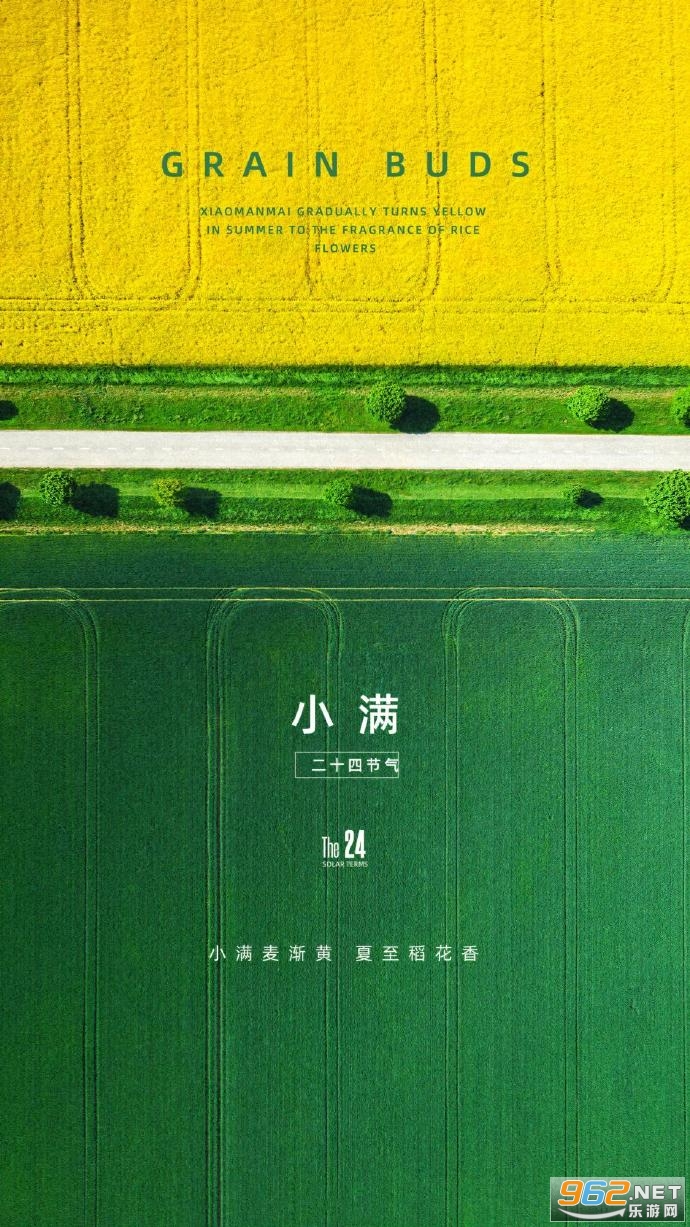 小满恰逢520文案 小满恰逢520文案