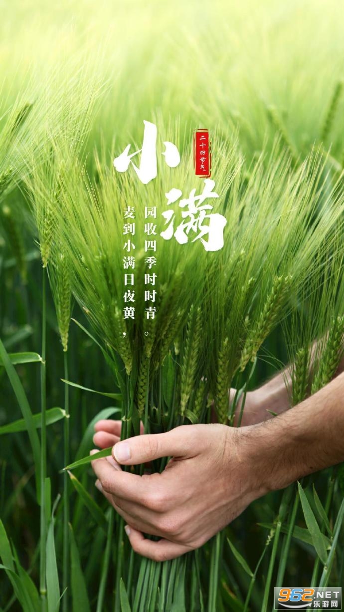 小满恰逢520文案 小满恰逢520文案