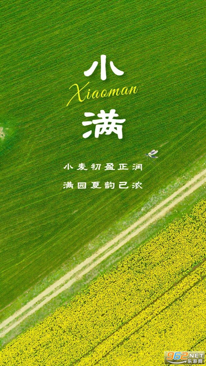 小满恰逢520文案 小满恰逢520文案
