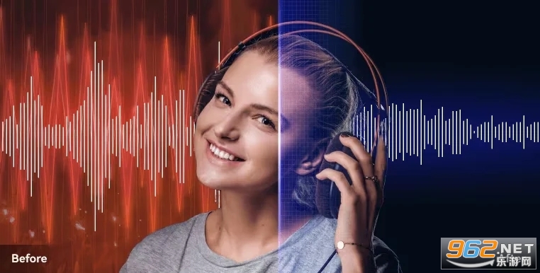 Audio Video Noise Reducer�ɾ�����Ƶ��Ƶ��������