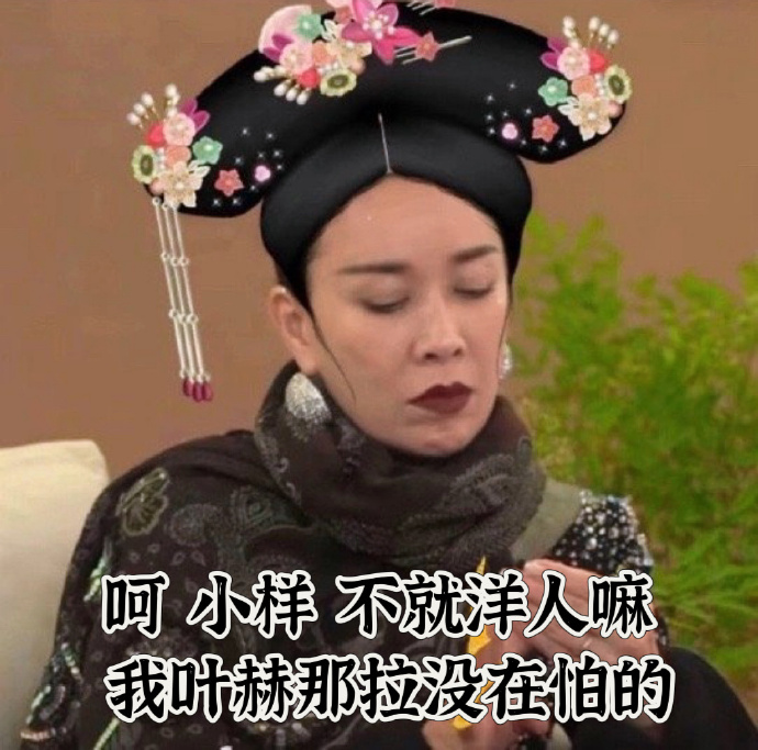 那英表情包大全截图1