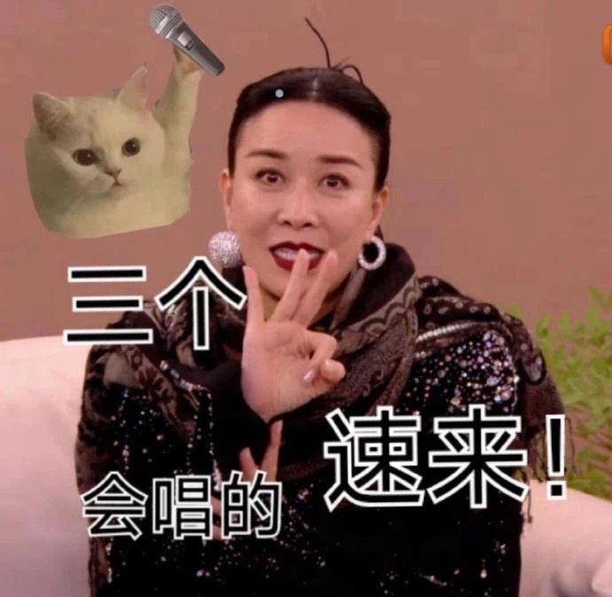 那英表情包大全截图8