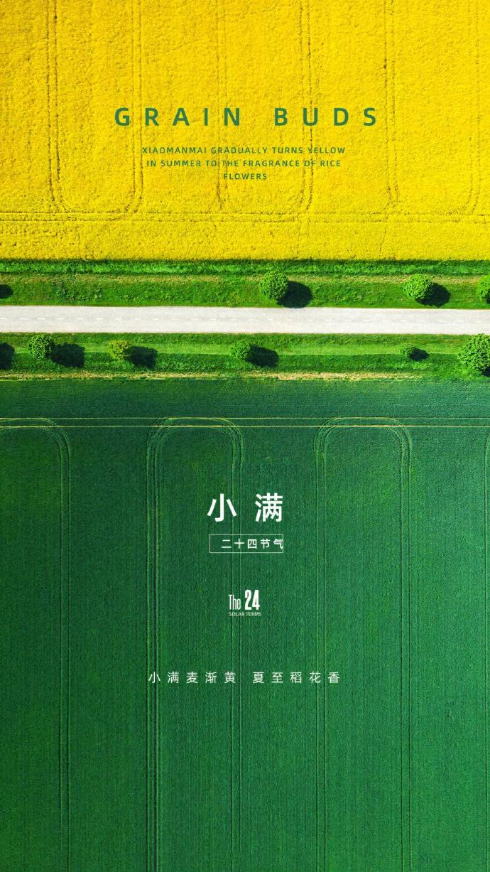 小满恰逢520文案截图6