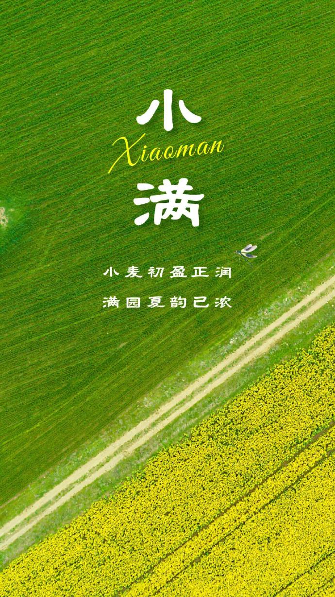小满恰逢520文案截图7