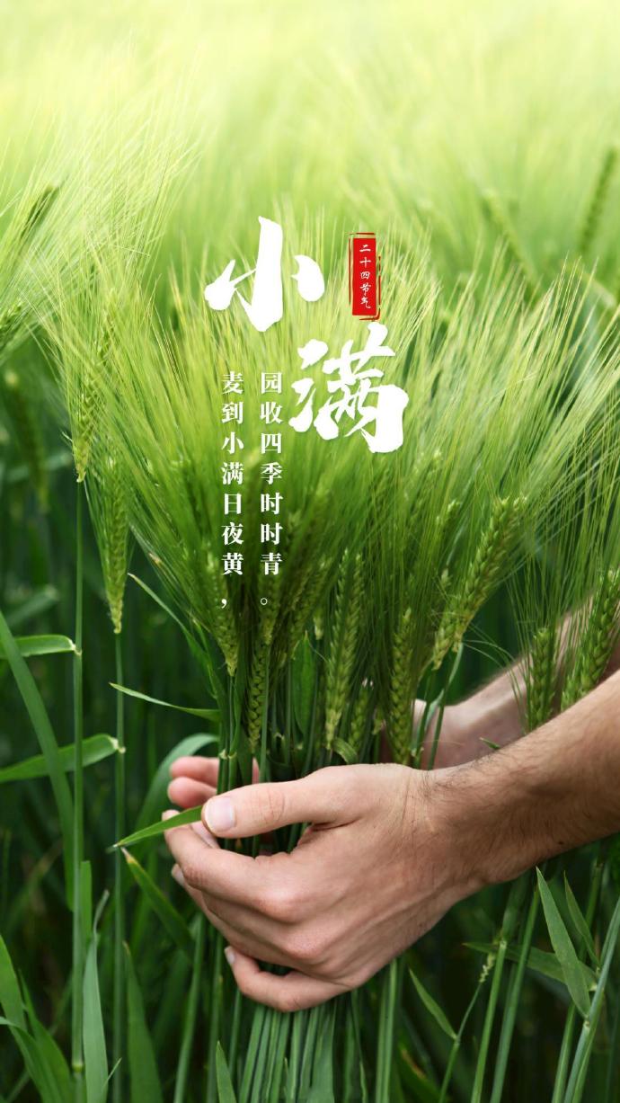 小满恰逢520文案截图8