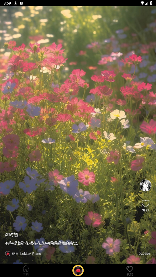�����缫�ٰ����°��ͼ4