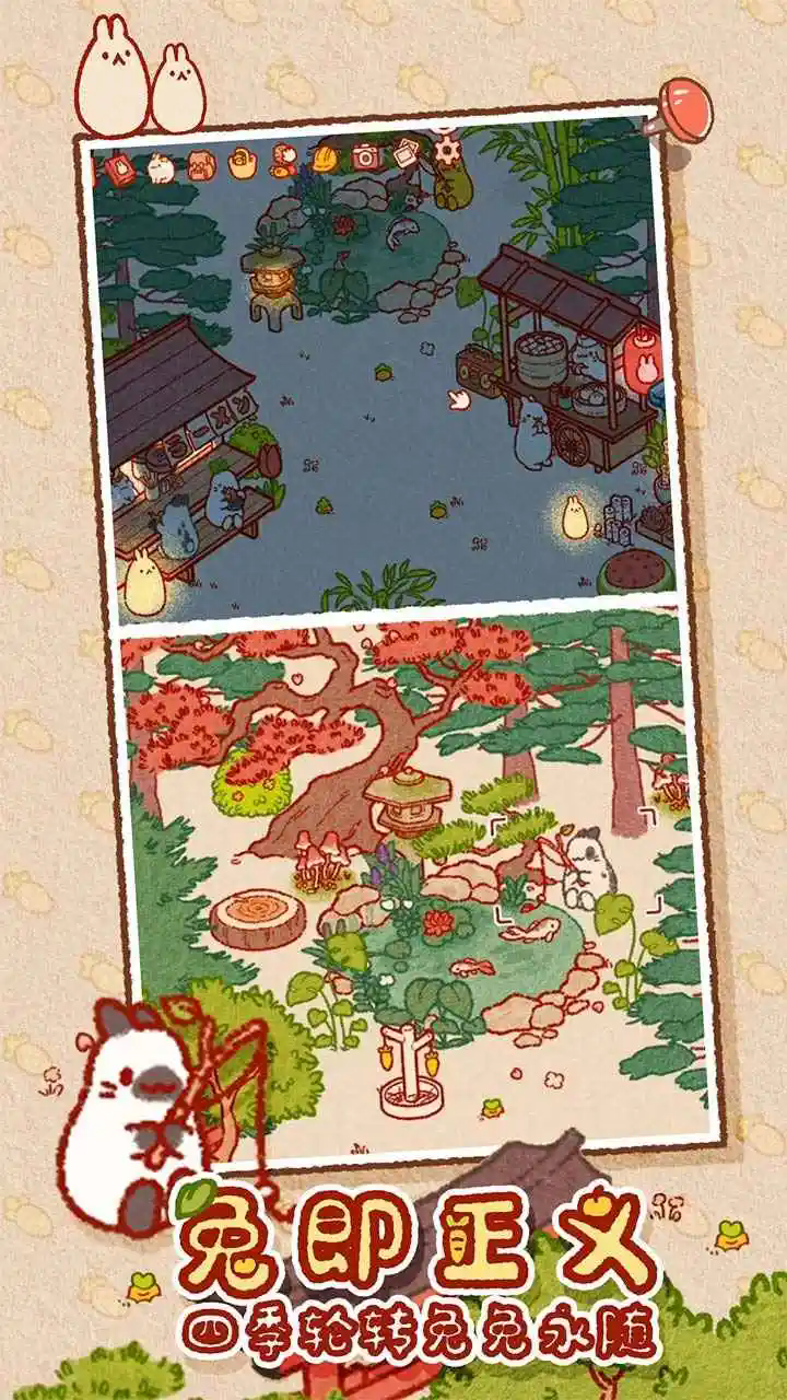 兔兔岛最新版本截图1