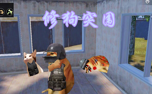 �޹�ͻΧ�������_�޹����������_���������޹�����