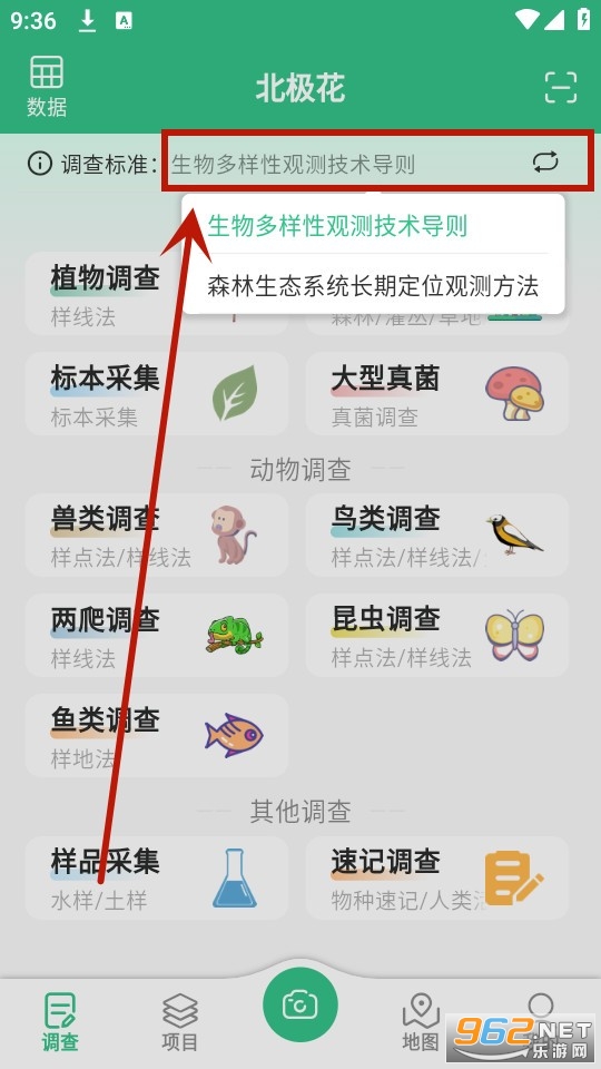 北极花生物调查 北极花生物调查