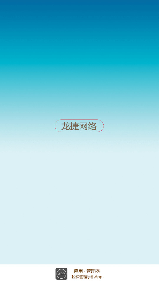 apk应用管理器截图3
