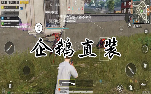 ���ֱװ����_�����������ֱװ_PUBG���ֱװȫ��2.9
