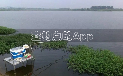 ������app_�鿴����ط���app_�����ҵ��������_��ѯ��������ص������