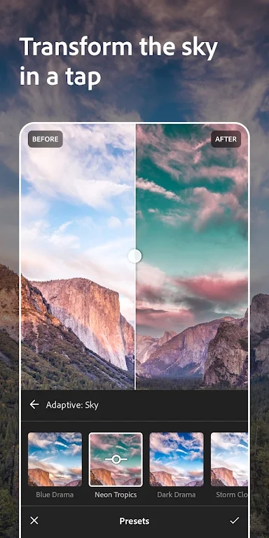 lightroom2026�ֻ��ƽ��v10.2.1 ���°��ͼ0