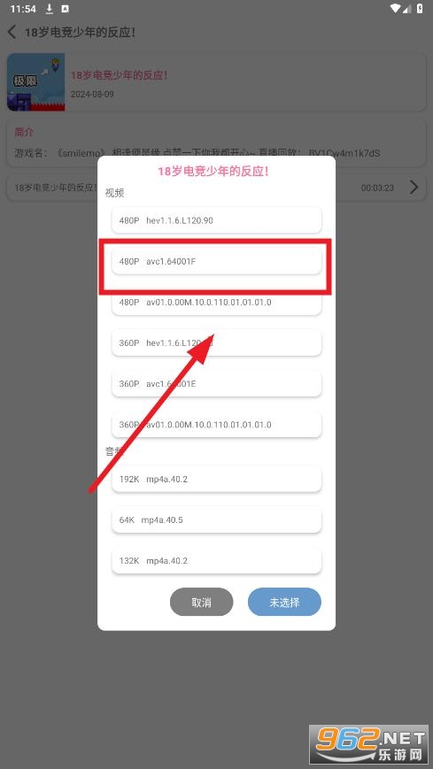 bvd下载器 bvd下载器
