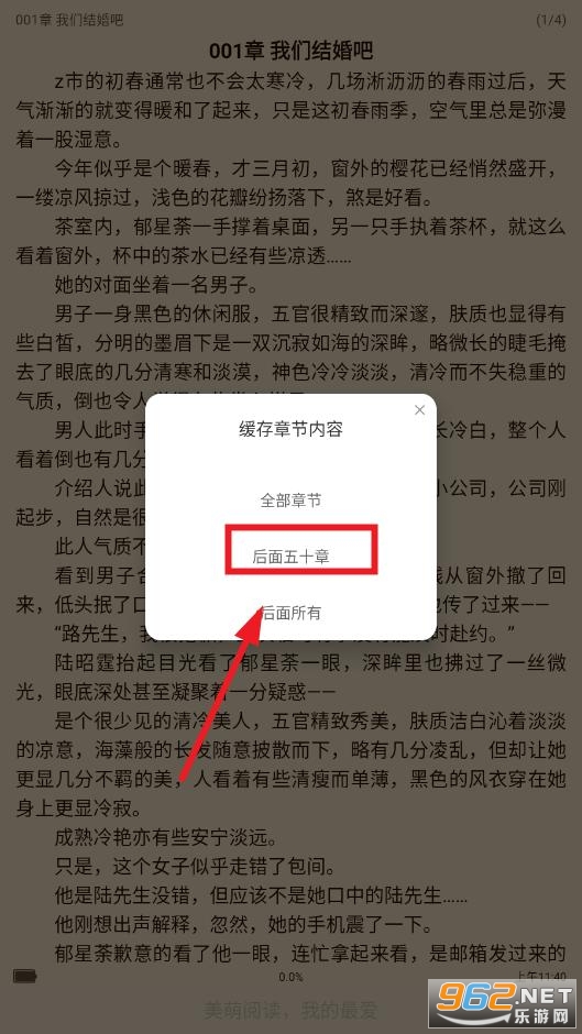 ����С˵app