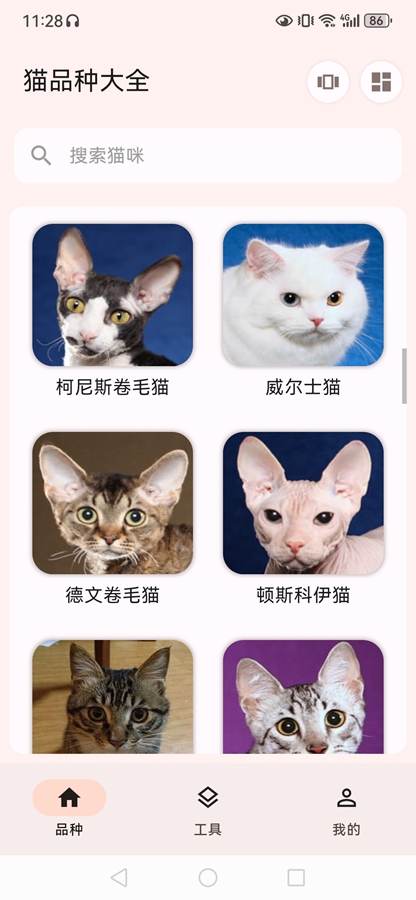 èƷ�ִ�ȫapp��ͼ5