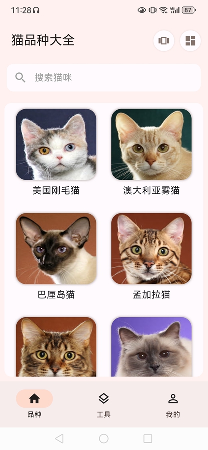 èƷ�ִ�ȫapp��ͼ3