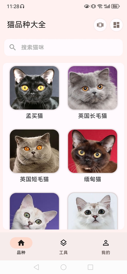 èƷ�ִ�ȫapp��ͼ4