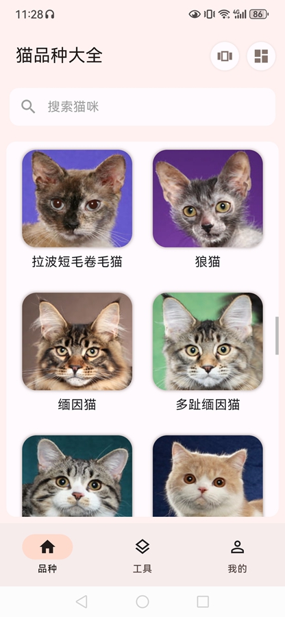 èƷ�ִ�ȫapp��ͼ7