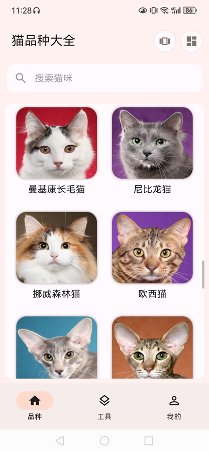 èƷ�ִ�ȫapp��ͼ8