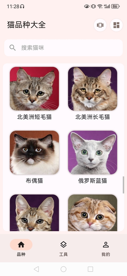 èƷ�ִ�ȫapp��ͼ9