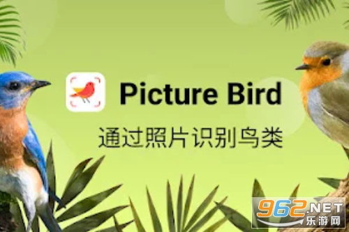 Picture Bird����ʶ��app������