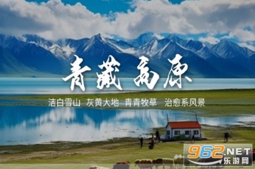 �����е�Сèapp�ٷ���
