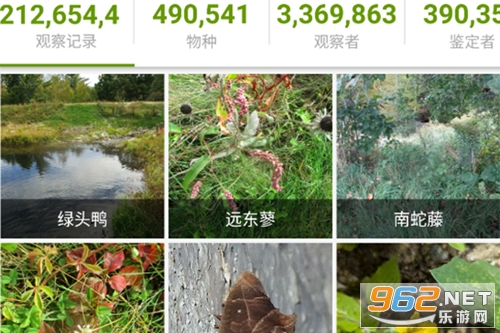 iNaturalist��׿��