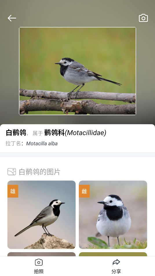 Picture Bird����ʶ��app������v2.9.31��ͼ0