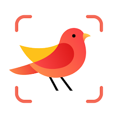 Picture Bird����ʶ��app������