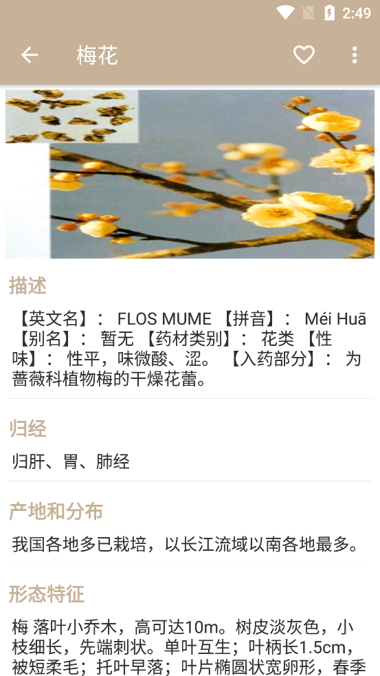 �в�ҩ����app�ٷ���v2.5 ���°��ͼ2