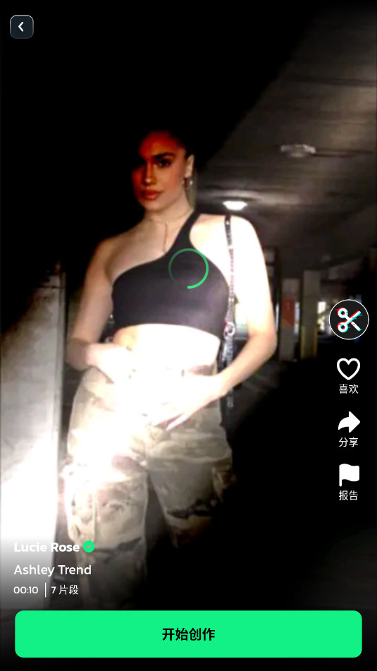 Vidma Editor������v2.12.0��ͼ4