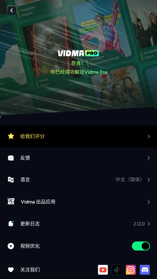 Vidma Editor������v2.12.0��ͼ7