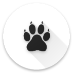�������ļ�app