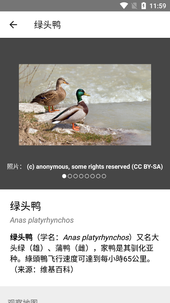 iNaturalist��׿���ͼ5