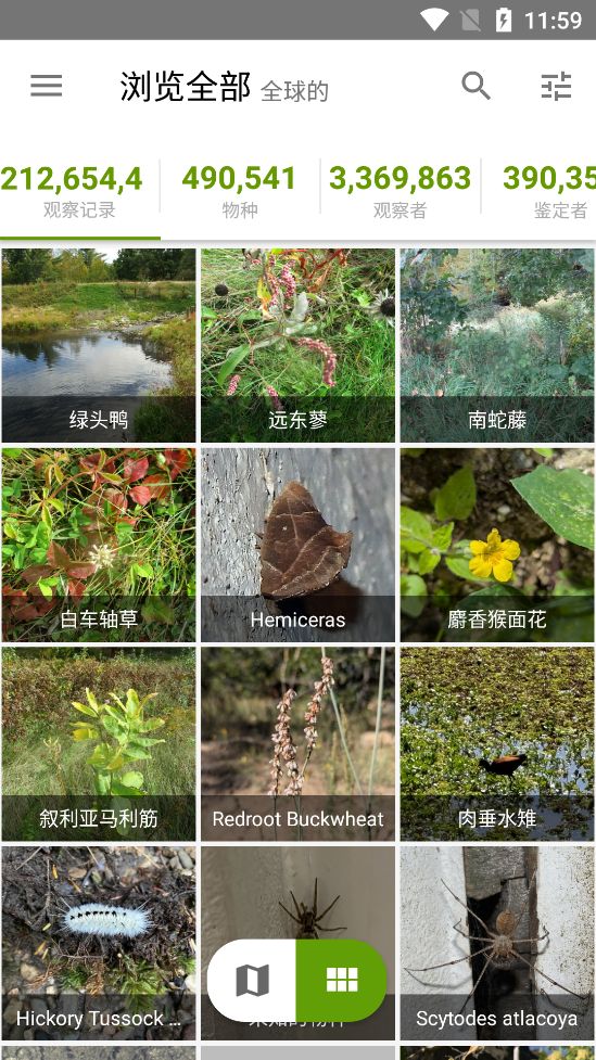 iNaturalist��׿���ͼ4