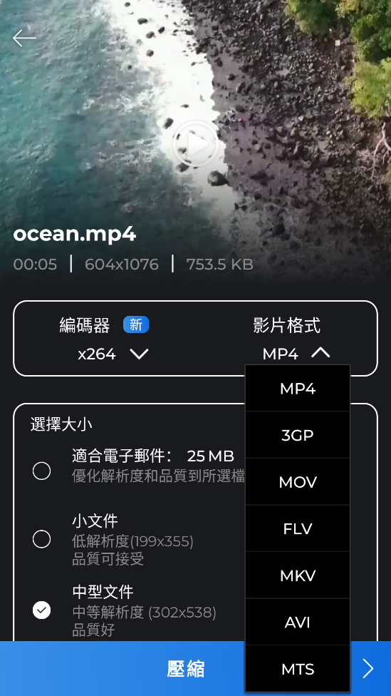 Video Compressor�����߼���