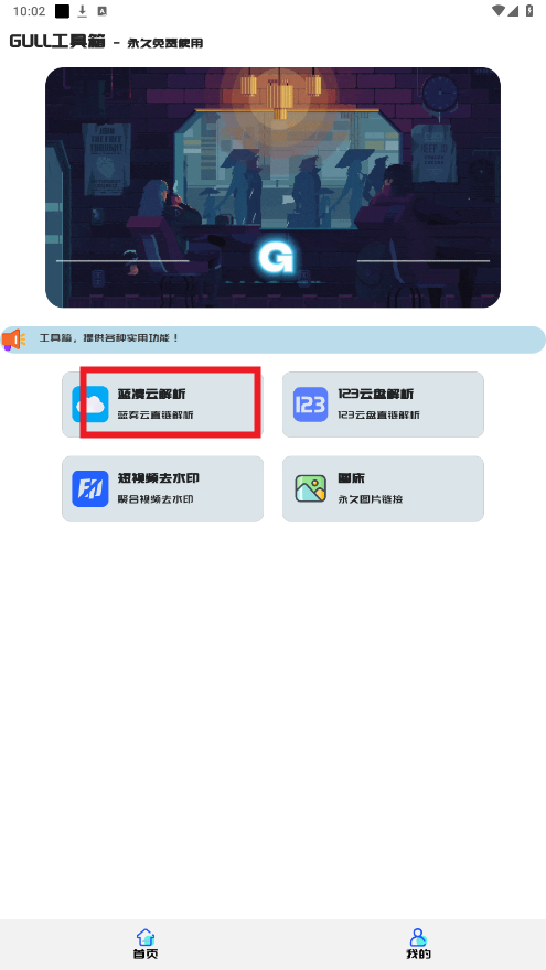GULL������app