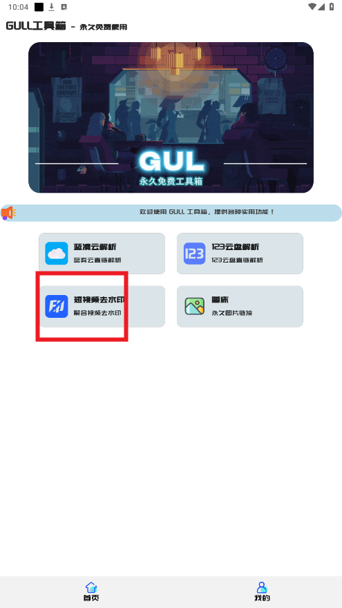 GULL������app
