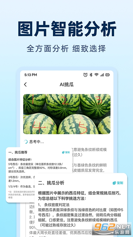 AI挑水果app截图1