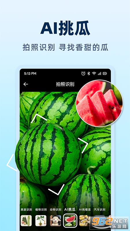 AI挑水果app截图4