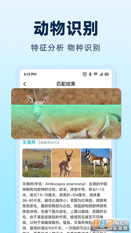 AI挑水果app截图2