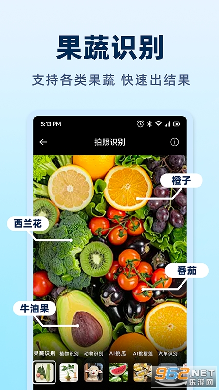 AI挑水果app截图3