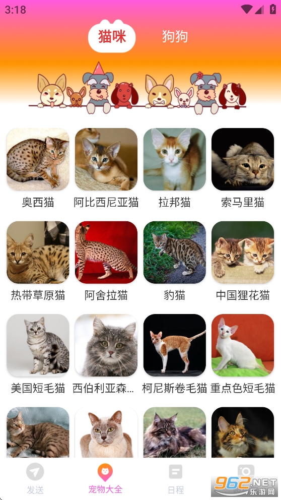 ���ܻ�������app��ͼ2