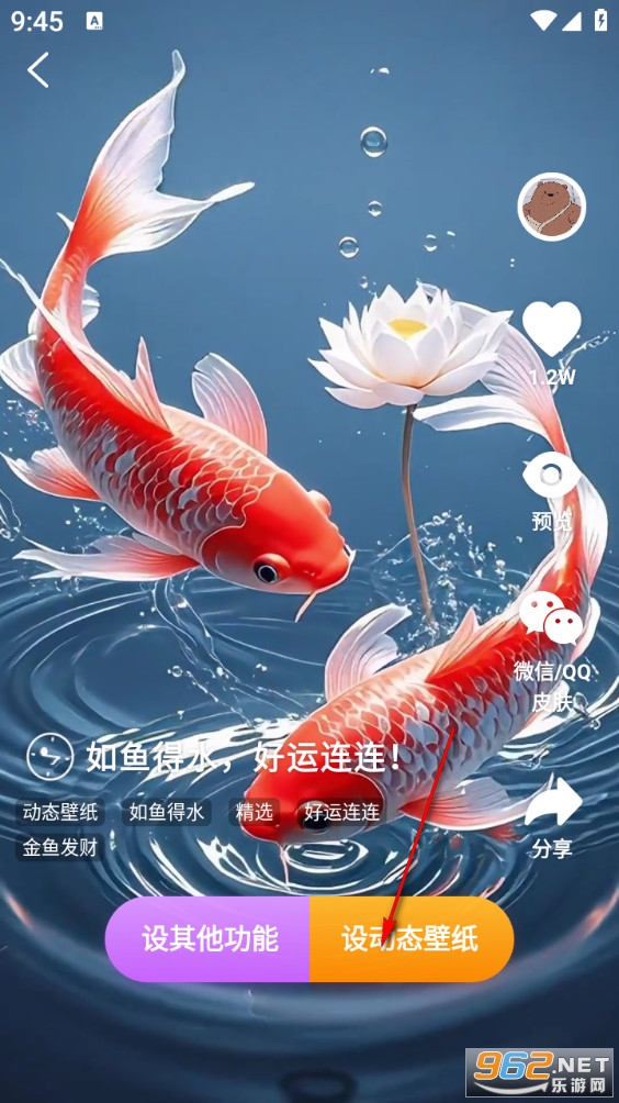 锦鲤金鱼壁纸 锦鲤金鱼壁纸